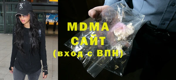хмурый Аркадак