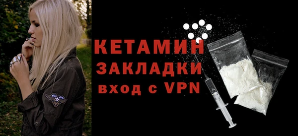 хмурый Аркадак