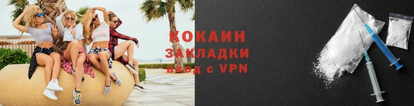 кокс Арсеньев