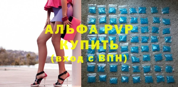 хмурый Аркадак