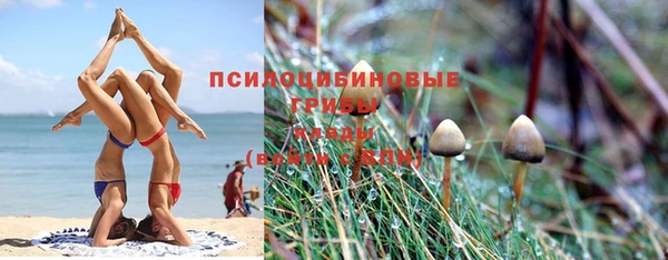 СК Армянск