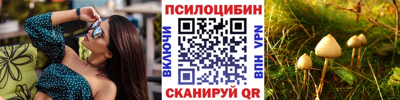 хочу   Каменногорск  Псилоцибиновые грибы прущие грибы 